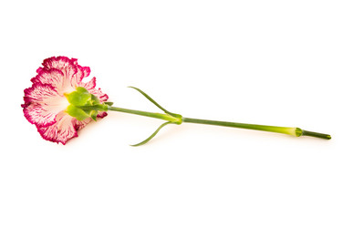 Similar image 247741