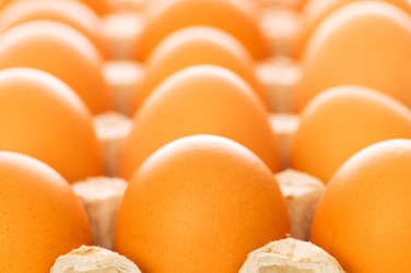 Similar image 247745