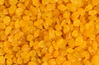 Similar image 247757