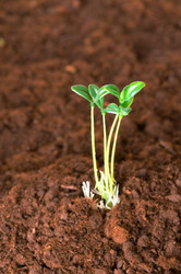 Similar image 247760