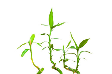 Similar image 247762