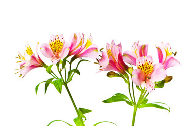 Similar image 247839