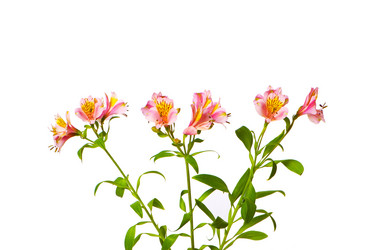 Similar image 247840