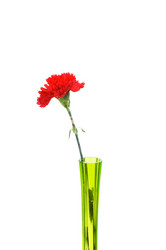 Similar image 247843