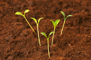 Similar image 247848