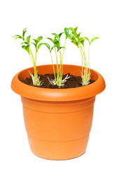 Similar image 247849