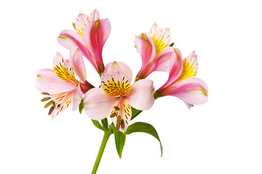 Similar image 247878