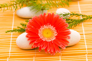 Similar image 247880