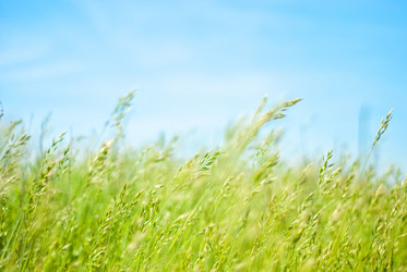 Similar image 247899