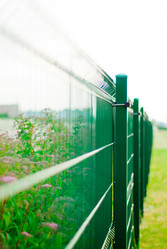 Similar image 247902