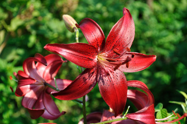 Similar image 247920