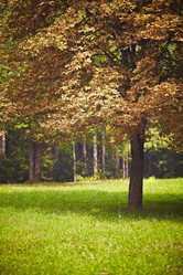 Similar image 247939