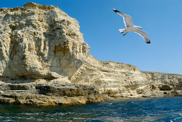 Similar image 247966