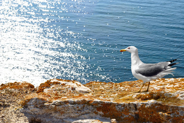 Similar image 247967