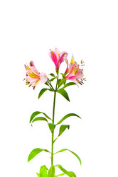 Similar image 247988