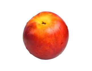 Similar image 248018