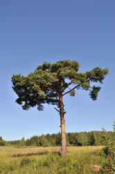 Similar image 248033