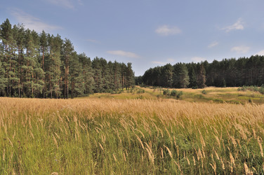 Similar image 248035