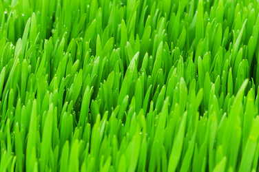 Similar image 248051