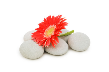 Similar image 248055