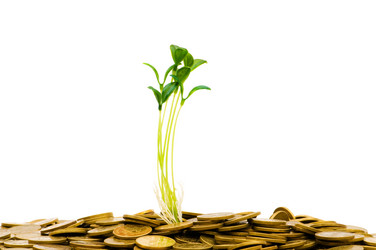 Similar image 248068