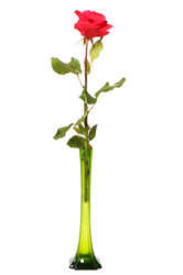 Similar image 248124