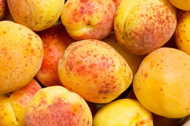 Similar image 248144