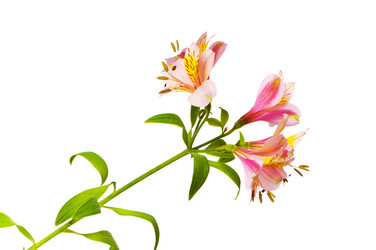 Similar image 248149