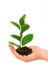 Similar image 248195