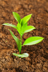 Similar image 248197