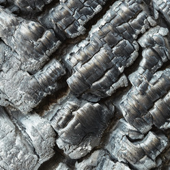 Similar image 248229