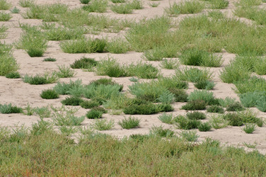 Similar image 248257