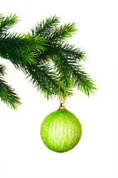 Similar image 248278