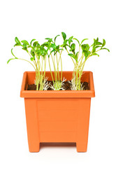 Similar image 248330