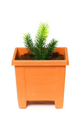 Similar image 248331