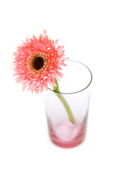 Similar image 248353