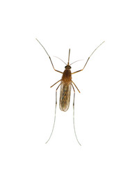 Similar image 248357