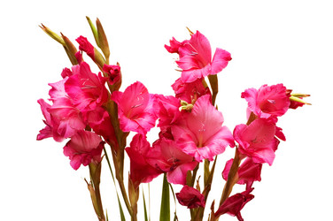 Similar image 248366