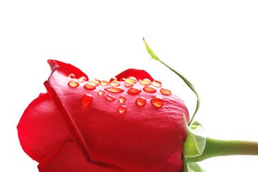 Similar image 248415