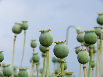 Similar image 248480