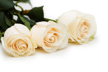 Similar image 248517