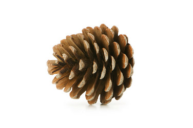 Similar image 248539