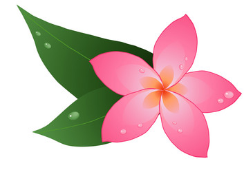 Similar image 248549