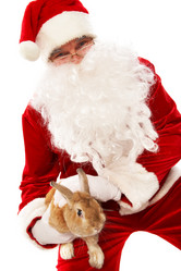 Similar image 248570