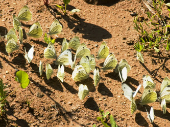 Similar image 248572