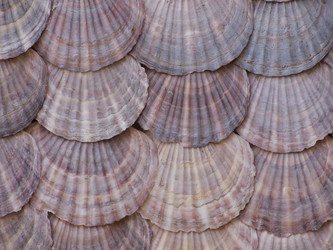 Similar image 248601