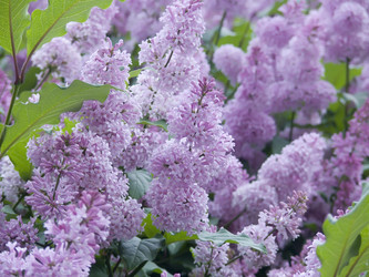 Similar image 248615