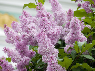 Similar image 248620