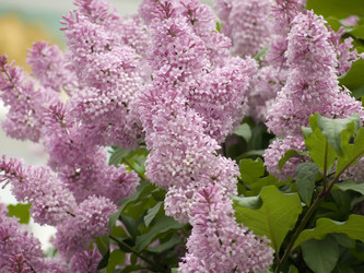 Similar image 248626