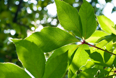 Similar image 248686